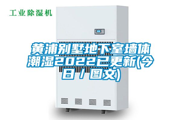 黃浦別墅地下室墻體潮濕2022已更新(今日/圖文)