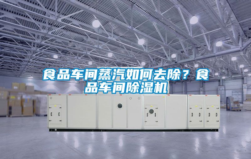 食品車間蒸汽如何去除?食品車間除濕機