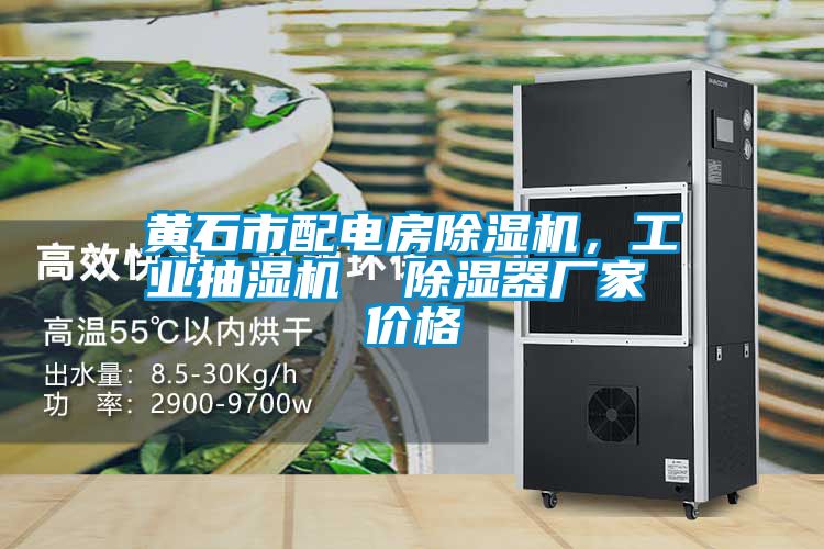 黃石市配電房除濕機(jī),工業(yè)抽濕機(jī) 除濕器廠家 價格